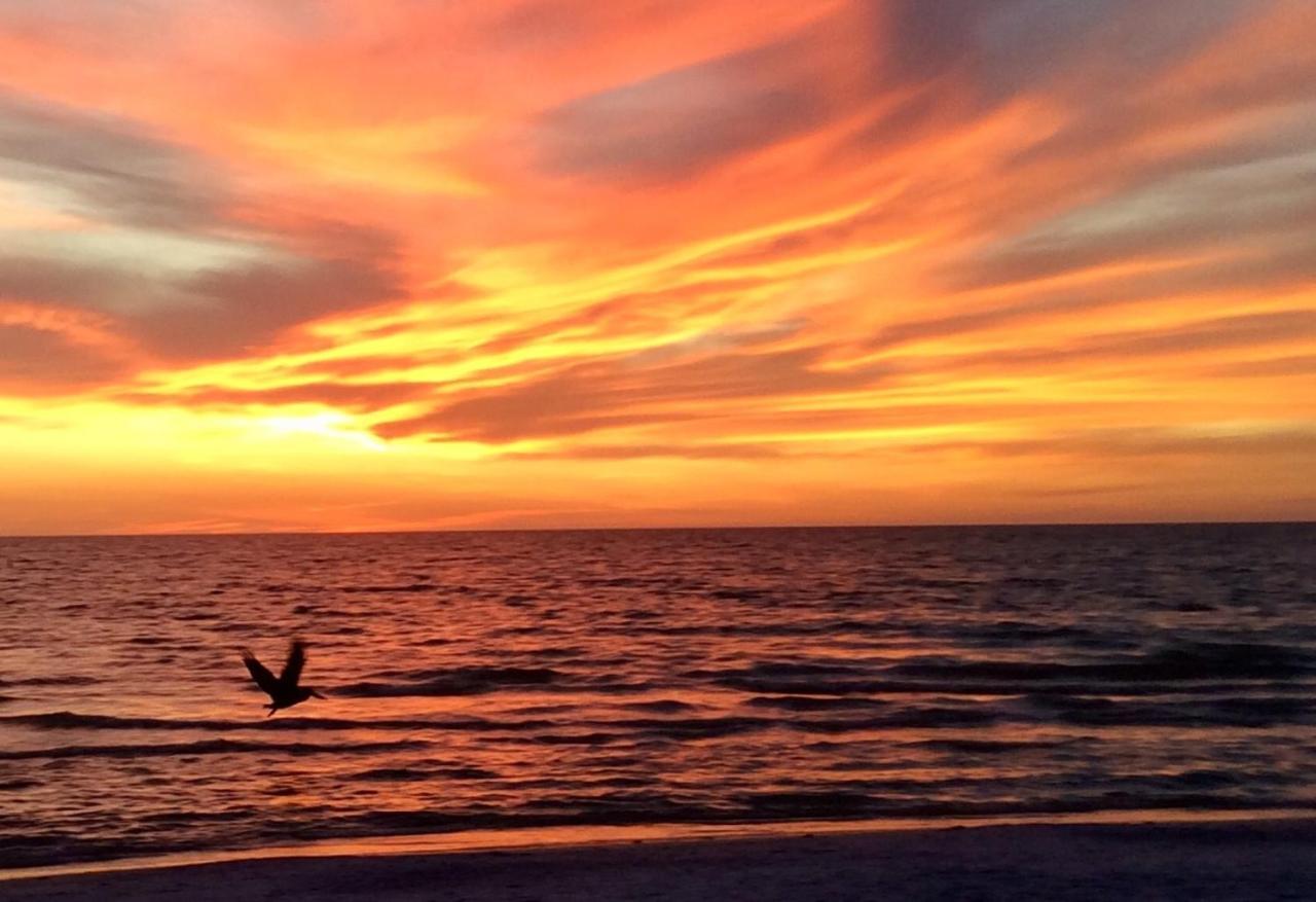 Carousel Beach Inn Fort Myers Beach Esterno foto